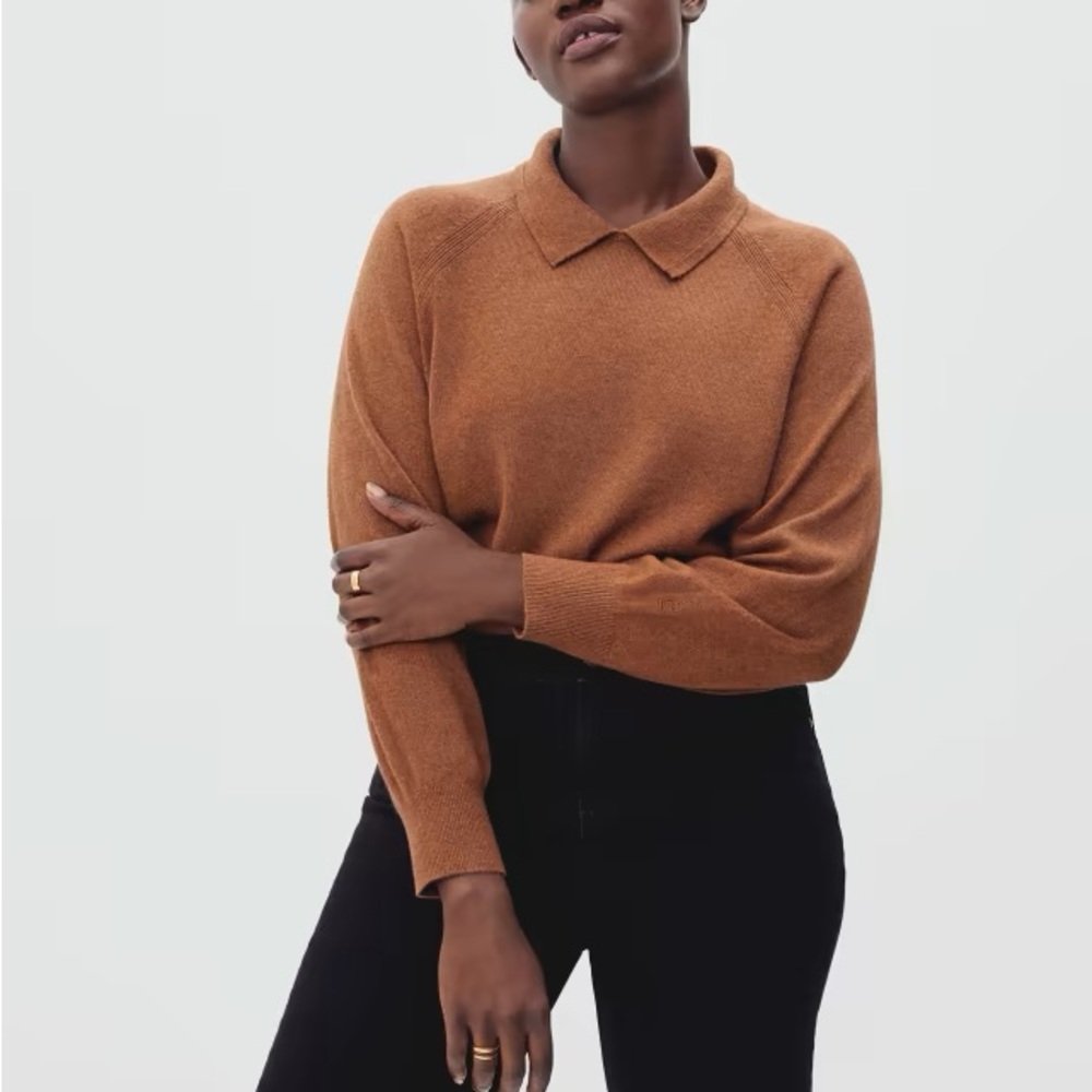 Everlane The Cashmere Collared Sweater